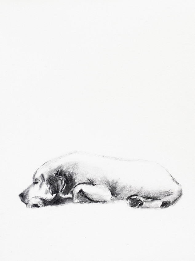 snooze, charcoal, 9x12