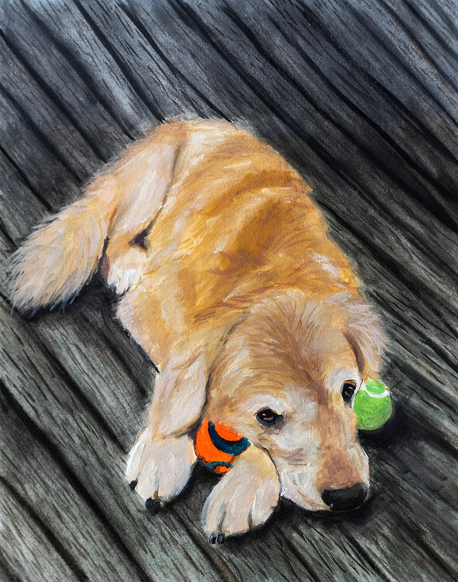 Obi, gouache on paper, 8x10
