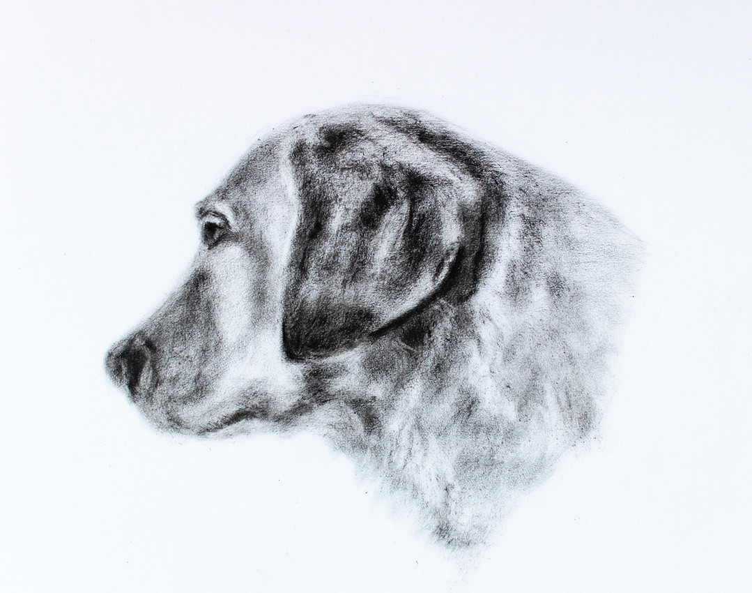Arwen, oil drybrush on matboard, 8x10