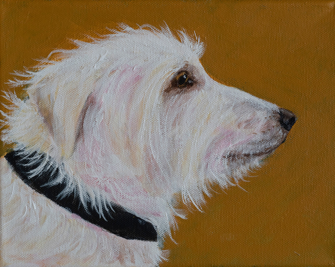 Finlay, oul on canvas, 8x10